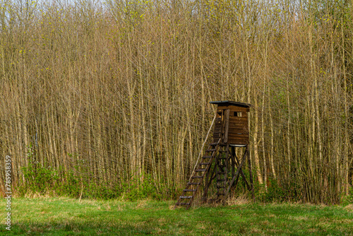 Ambona myśliwska drewniana konstrukcja do polowania na dziką zwierzynę © KoLesfot