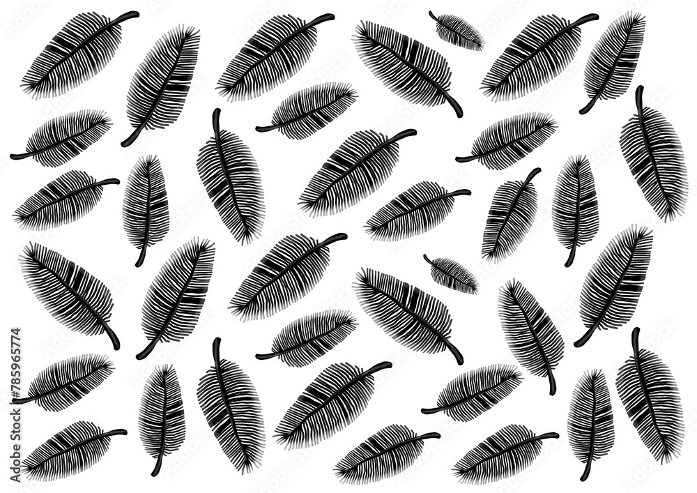 Black feathers of different sizes on a white background. Pattern. Soft and gentle. Thin, delicate lines. Chaotically located. Print, wrapping, fabric, design. Monochrome.
