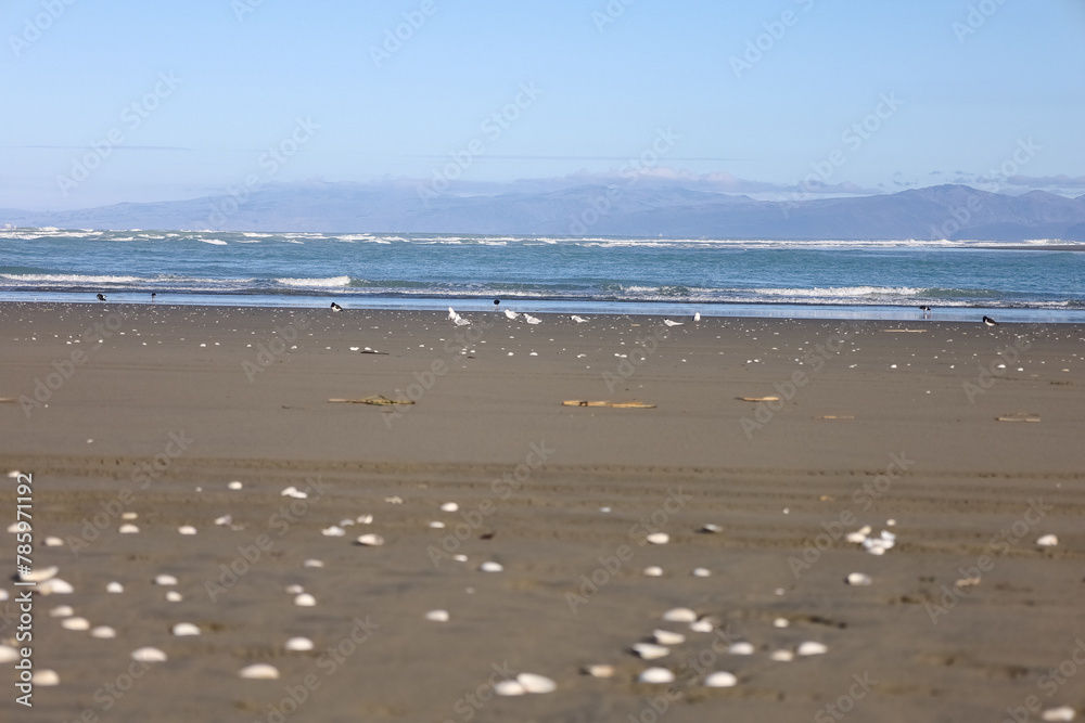 Sehr breiter Sandstrand in Neuseeland auf der Südinsel mit blick aufs Wasser und Spuren von Autos im Sand Sehr breiter Sandstrand in Neuseeland auf der Südinsel mit blick aufs Wasser und Spuren von Autos im Sand