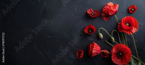 Symbolic red poppies on dark background  remembrance day, armistice day, anzac day tribute © Andrei