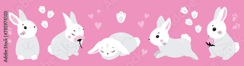 Canvas Print Cute white rabbit in various poses