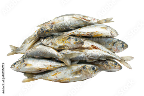 A pile of fresh silver barb fish
.Isolated on white background.