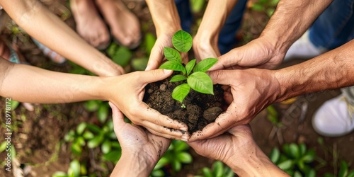 A group of people are holding a plant in their hands