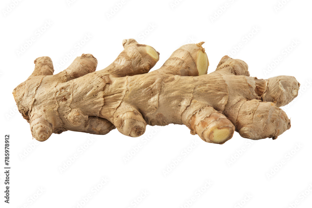 Fresh ginger root or rhizome
.isolated on white background