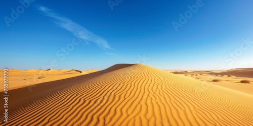 Desert Sand Dunes © xartproduction
