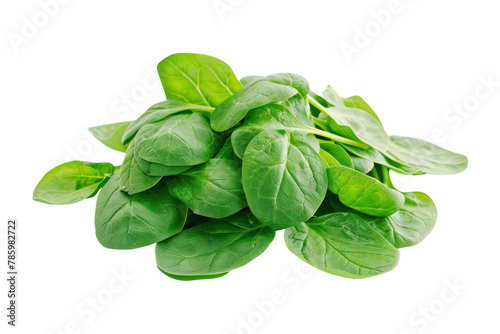 Pile of fresh green baby spinach leaves
.isolated on white background