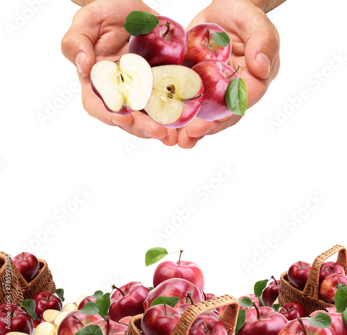 Hands holding apples isolated