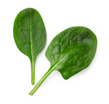 Two fresh spinach leaves isolated on white, top view