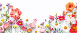 A variety of colorful flowers arranged on a white background.