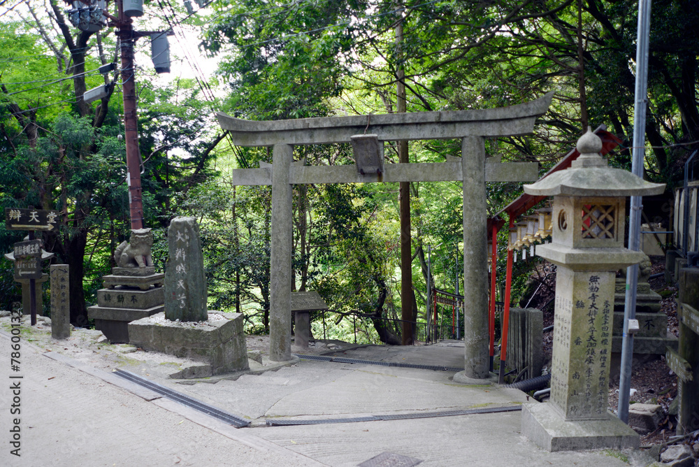 Naklejka premium 比叡山延暦寺 無動寺谷 参道の鳥居 滋賀県大津市坂本