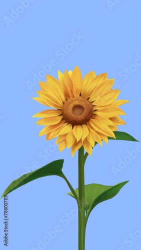 Spring and summer botanical flower, Sunflower illustration or Helianthus annuus L. With blue background, available for editing, wallpaper, background, decoration photo