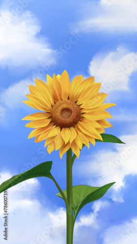Spring and summer botanical flower  Sunflower illustration or Helianthus annuus L. With blue sky and clouds  available for editing  wallpaper  background  decoration