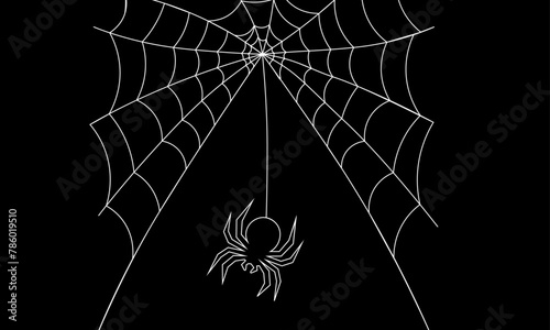 Spider web Formation vector  with Continuous Line Drawing The Spider Cobweb in black background	