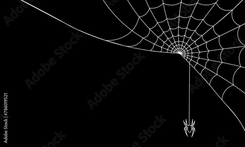 Spider Web  in corner of black background with spider insect .