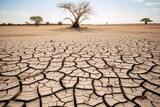 A resilient tree stands amid a vast expanse of cracked, dry earth, a testament to survival in harsh conditions. Arid Elegance: Lone Tree in Dry Landscape