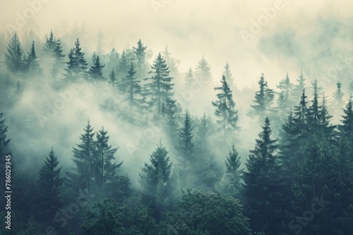 Misty landscape with a foggy fir forest. AI generative © tiena