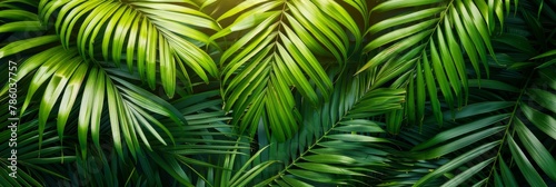 Exotic tropical jungle with lush palm leaves and trees   panoramic wallpaper nature concept