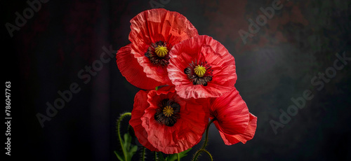 Three red poppy flowers are in a vase