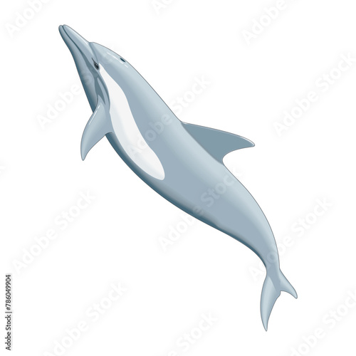 A finwinged dolphin leaps from freezing waters, amid a snowy white backdrop