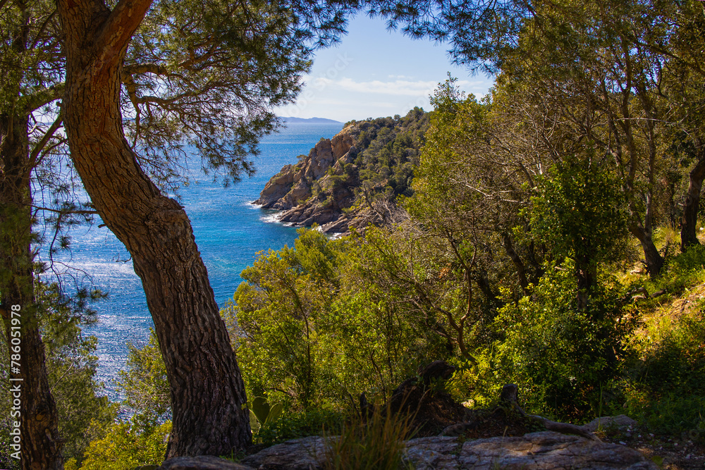 Rade_de_Bormes_2365 Rade_de_Bormes_2365
