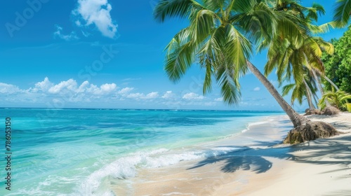 Tropical Island Beach. Beautiful Caribbean Coast with Palm Trees and Calm Blue Bay Background