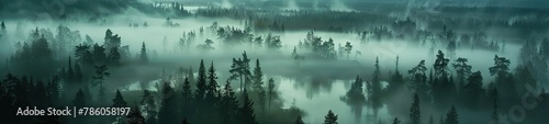 Fog lake and forest landscape, aerial view