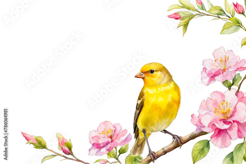 Canary perched on branch, yellow bird sitting with flowers leaves with copy space, text template, for invitations design element, watercolor illustration, cute