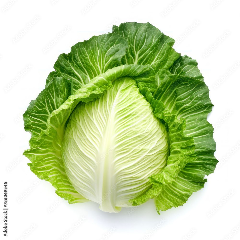 Fototapeta premium Fresh green chinese cabbage isolated on white background. Top view.