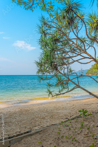 Screw palms and deciduous trees on a small bay on Ao Kwang peeb beach, also known as Monkey Bay, in the far north of Ko Phayam Island
