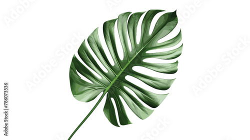 Stock Vector, Green Tropical Leaf on Transparent Background with Design PNG Concept. 