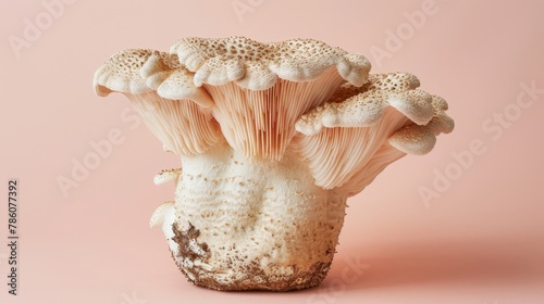 Lion s mane mushroom hericium erinaceus on pastel background fungal beauty in soft hues