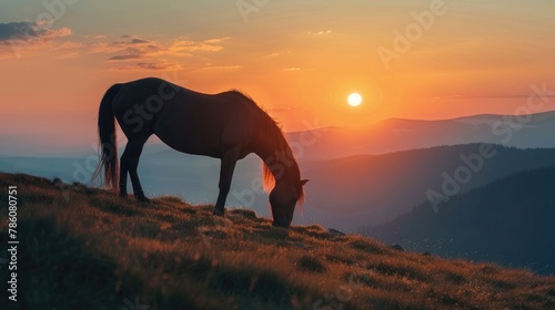 A horse grazing on a mountain peak during the sunset casting a lengthy shadow