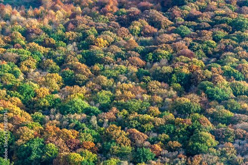 vue aérienne d'une forêt à l'automne dans les Yvelines en France