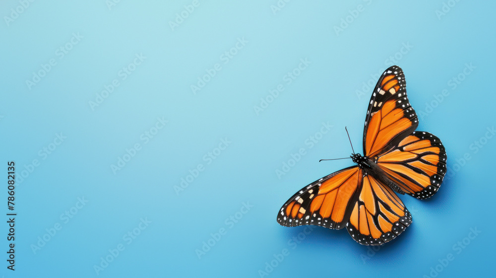Fototapeta premium An iconic Monarch butterfly perfectly centered with wings extended on a bold blue background, emphasizing its symmetry and vibrant patterns