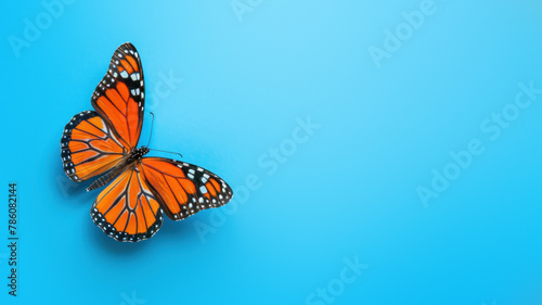 Antioxidant Monarch butterfly with wings expanded on a minimalist blue background, showcasing the beauty of its patterns photo