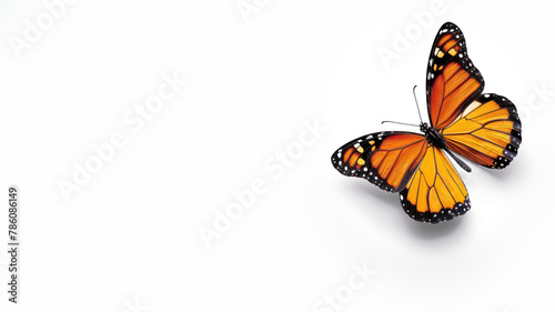 This striking image highlights the vibrant orange hue of a Monarch butterfly against a pure white background © Fxquadro