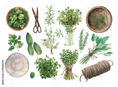 Set of gardening items in hand drawn style. Agricultural and garden tools for spring work. Vector isolated on white background watercolor set.