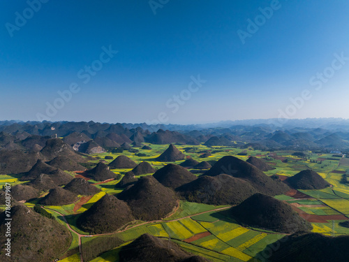Aerial view of Canola field in Luoping, Yunnan, China