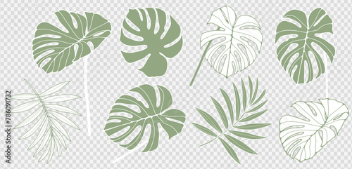 Wallpaper Mural Vector summer set of green tropical plants and leaves isolated on transparent background. Monsetra and fern leaves to create a variety of designs and prints. Torontodigital.ca