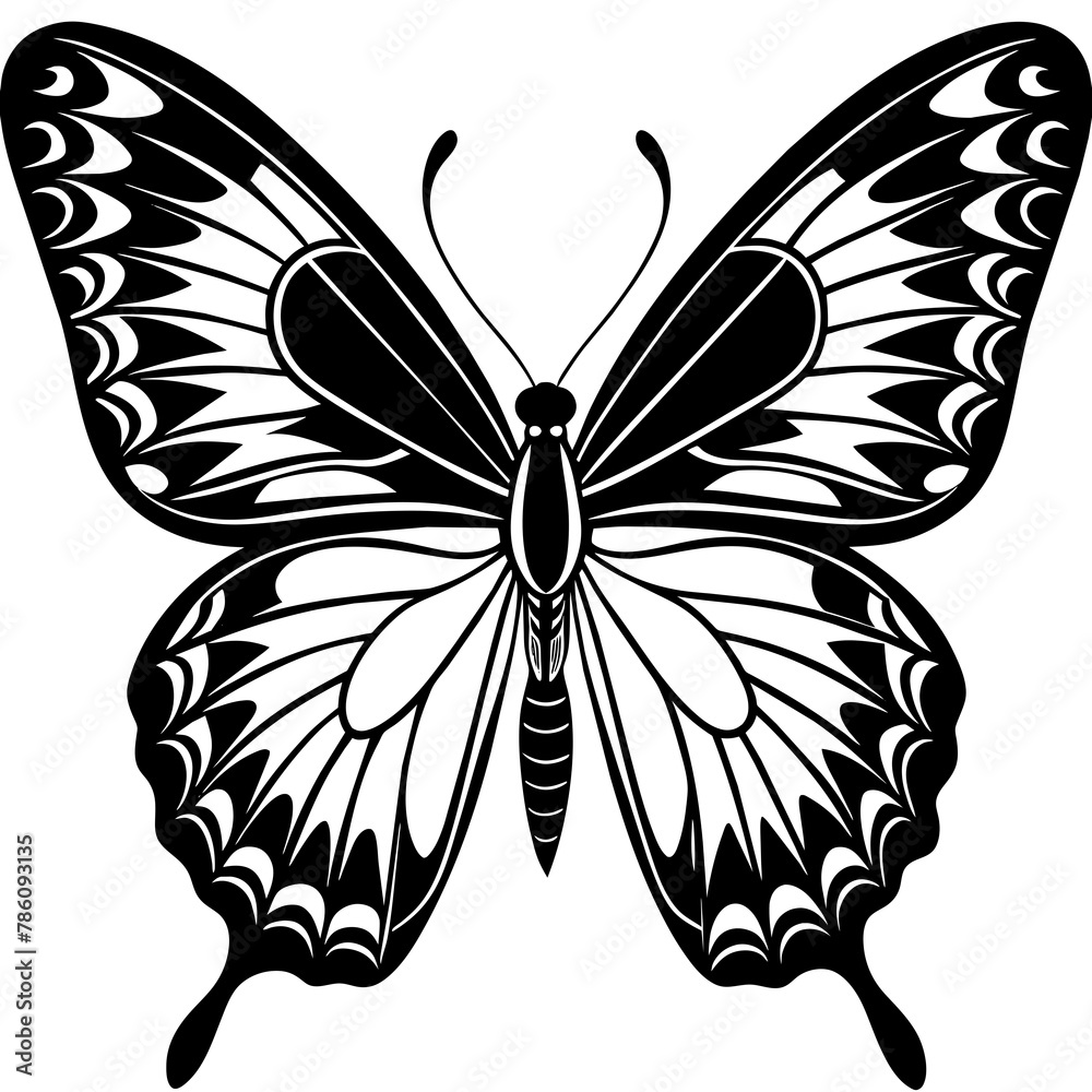 Butterfly vector illustration.
Butterfly vector illustration.