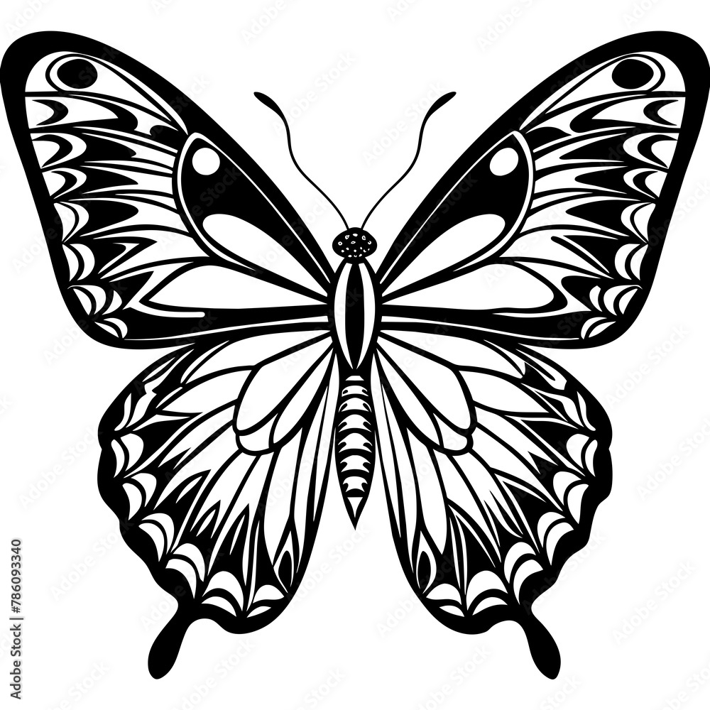     Butterfly vector illustration.
