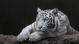 A serene white tiger, its powerful form poised with quiet dignity, icy blue eyes gazing into the distance.