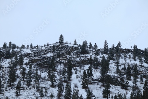 Winter landscape in Kalamalka provincial park with snowy ground, blank sky background