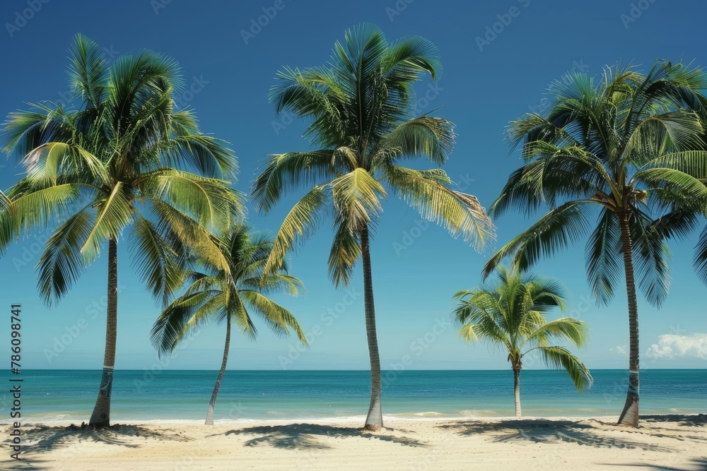 Serene Tropical Beachscape with Lush Palm Trees at Sunset