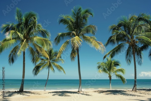 Serene Tropical Beachscape with Lush Palm Trees at Sunset © Bernardo