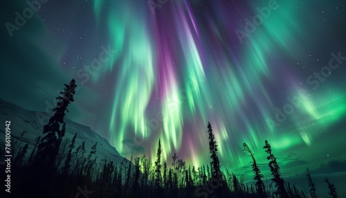 Beautiful aurora borealis over the evergreen forest - generated by AI photo