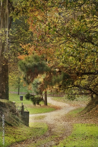 Beautiful view of a splendid green and verdurous area of La Cebera Park in Lugones photo