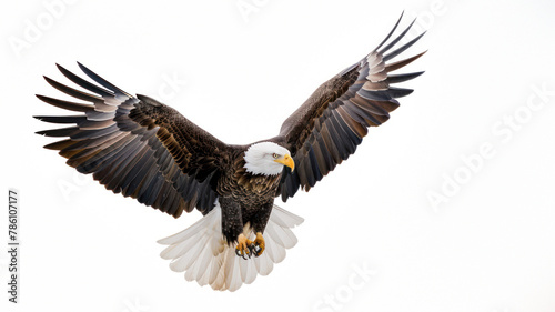 An imposing bald eagle mid-flight, its wings completely spread showcasing the bird's full impressive wingspan