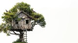 A tree house is built on a tree with a ladder leading up to it