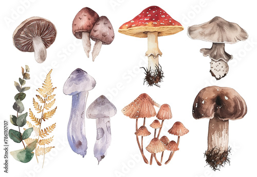 Watercolor illustration of mushrooms set collection on isolated white background
